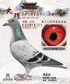 图片暂时未上传