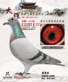 图片暂时未上传