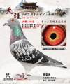 图片暂时未上传
