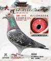 图片暂时未上传