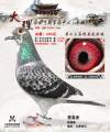 图片暂时未上传