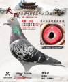 图片暂时未上传