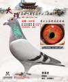 图片暂时未上传