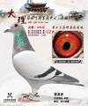 图片暂时未上传