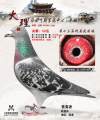图片暂时未上传
