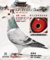 图片暂时未上传