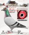 图片暂时未上传