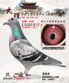 图片暂时未上传