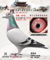 图片暂时未上传