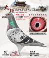图片暂时未上传