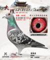 图片暂时未上传