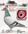 图片暂时未上传