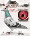 图片暂时未上传