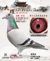 图片暂时未上传