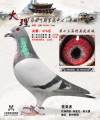 图片暂时未上传