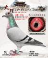 图片暂时未上传