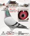 图片暂时未上传