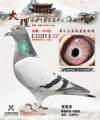 图片暂时未上传