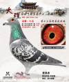 图片暂时未上传