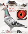 图片暂时未上传