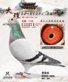 图片暂时未上传