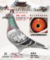图片暂时未上传