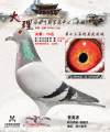 图片暂时未上传