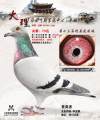 图片暂时未上传