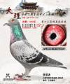 图片暂时未上传