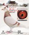 图片暂时未上传