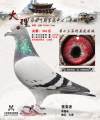图片暂时未上传