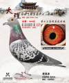 图片暂时未上传