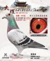 图片暂时未上传