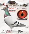 图片暂时未上传