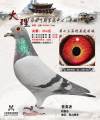 图片暂时未上传