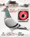 图片暂时未上传