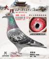 图片暂时未上传