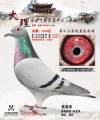 图片暂时未上传