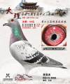 图片暂时未上传