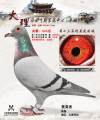 图片暂时未上传