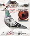 图片暂时未上传