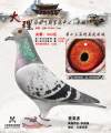 图片暂时未上传