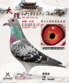 图片暂时未上传