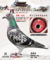 图片暂时未上传