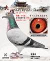 图片暂时未上传