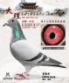 图片暂时未上传