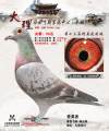 图片暂时未上传