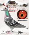 图片暂时未上传
