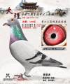 图片暂时未上传