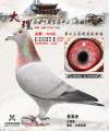 图片暂时未上传
